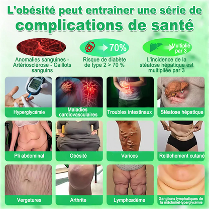 🔥 Nouveauté | Purelora® Système Nano à Microaiguilles Cristallines avec Activation NAD⁺ & Solution Minceur et Bien-être 20-en-1