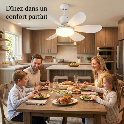 ⚡ Ventilateur lampe E27 2-en-1 avec LED & télécommande – fraîcheur et éclairage pour les journées chaudes