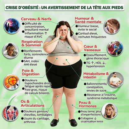 💖Pharmacie en ligne française| 🔥 𝐏𝐮𝐫𝐞𝐥𝐨𝐫𝐚® Moringa · Berbérine × NAD+ 𝟏𝟎-𝐞𝐧-𝟏 𝐏𝐚𝐭𝐜𝐡 𝐍𝐚𝐧𝐨 𝐌𝐢𝐜𝐫𝐨𝐚𝐢𝐠𝐮𝐢𝐥𝐥𝐞𝐬 𝐀𝐯𝐚𝐧𝐜𝐞́ — 𝐔𝐧𝐞 𝐀𝐩𝐩𝐥𝐢𝐜𝐚𝐭𝐢𝐨𝐧 𝐏𝐚𝐫 𝐉𝐨𝐮𝐫, 𝐑𝐞́𝐬𝐮𝐥𝐭𝐚𝐭𝐬 𝐕𝐢𝐬𝐢𝐛𝐥𝐞𝐬 𝐞𝐧 𝟕 𝐉𝐨𝐮𝐫𝐬