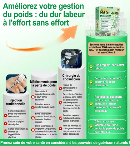 🔥 Nouveauté | Purelora® Système Nano à Microaiguilles Cristallines avec Activation NAD⁺ & Solution Minceur et Bien-être 20-en-1