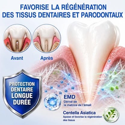 🧑‍⚕️🦷Purelora®  GumRevive Gel Réparateur Parodontal ✨