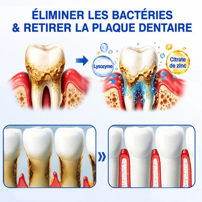 🧑‍⚕️🦷Purelora®  GumRevive Gel Réparateur Parodontal ✨
